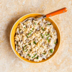 Mountain House Classic Beef Stroganoff With Noodles 8 Mountain House Classic Beef Stroganoff With Noodles -Big Agnes Shop 1021159 800 auto