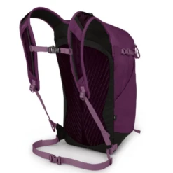 Osprey Sportlite 20L Backpack -Big Agnes Shop 1064899 800 auto