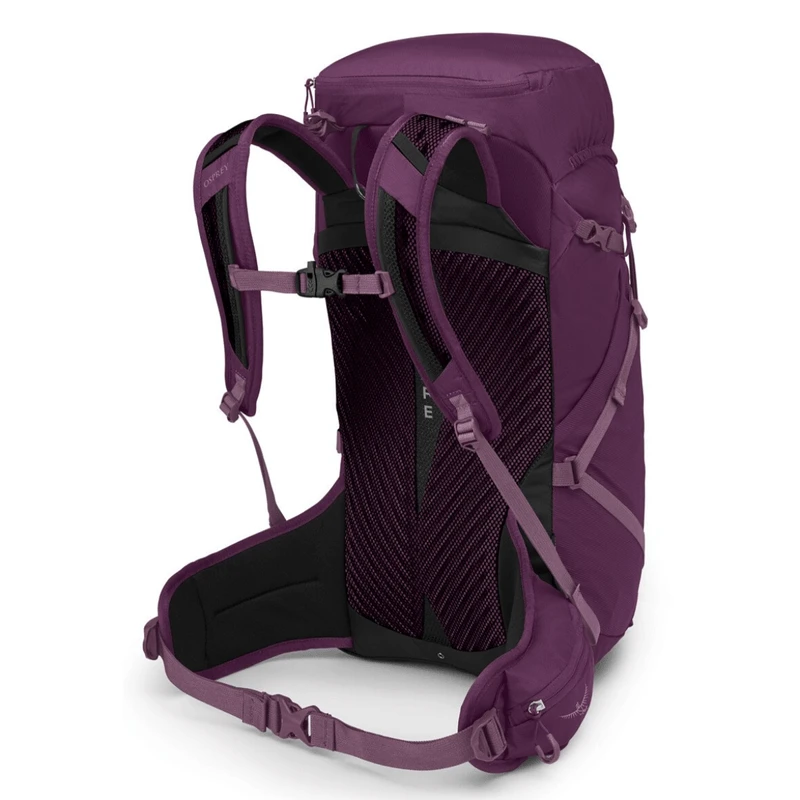 Osprey Sportlite 30L Backpack 4 Osprey Sportlite 30L Backpack - Image 2