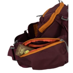 Osprey Savu 5L Waist Pack -Big Agnes Shop 1317336 800 auto