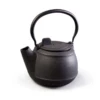 Camp Chef Cast Iron Tea Pot -Big Agnes Shop 1354459 800 auto