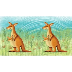 FIFTY/FIFTY 12oz Straw Cap Water Bottle -Big Agnes Shop 1357457 800 auto