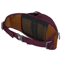 Osprey Savu 2L Lumbar Pack -Big Agnes Shop 1358094 800 auto