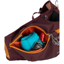 Osprey Savu 2L Lumbar Pack -Big Agnes Shop 1358099 800 auto