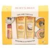 Burt's Bees Tips And Toes Kit