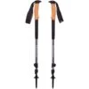 Black Diamond Trail Cork Trekking Poles