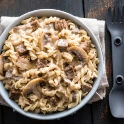 Peak Refuel Beef Stroganoff Freeze Dried Meal -Big Agnes Shop 623307 800 auto