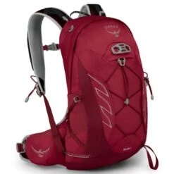 Osprey Talon JR Backpack - Kids' -Big Agnes Shop 953747 800 auto
